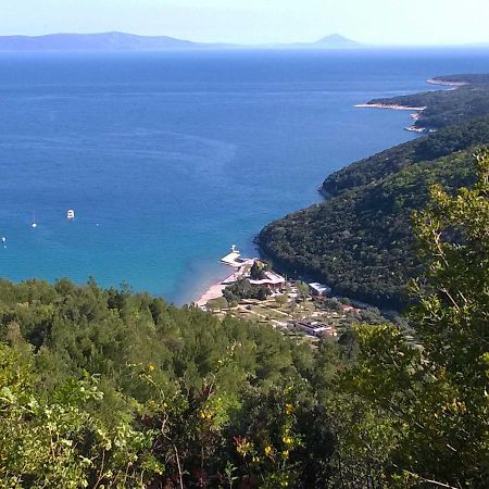 North Adriatic View Apartment Rabac Eksteriør billede