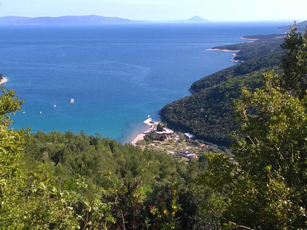 North Adriatic View Apartment Rabac Eksteriør billede