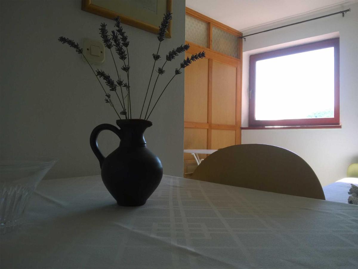 North Adriatic View Apartment Rabac Eksteriør billede